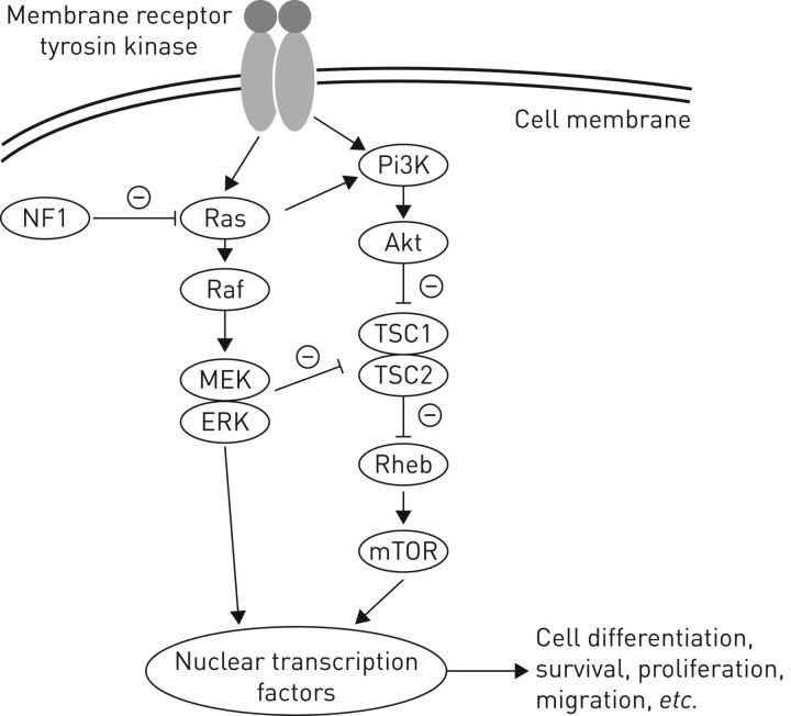 FIGURE 1