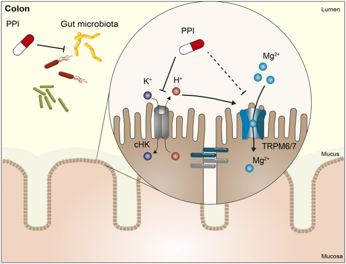 FIGURE 4