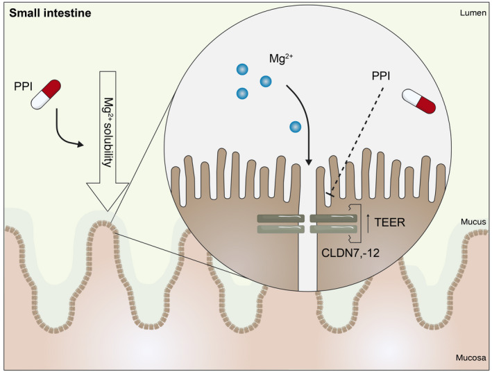 FIGURE 3