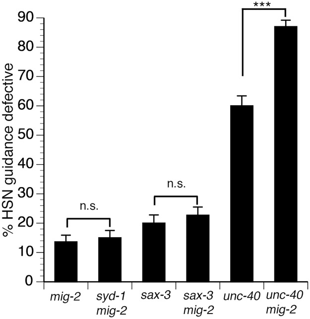 Fig 5