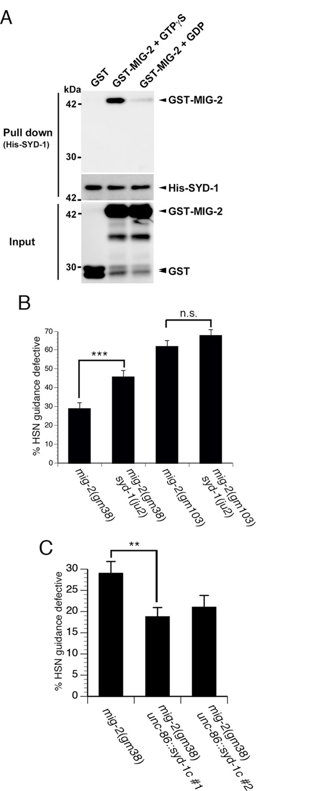 Fig 4