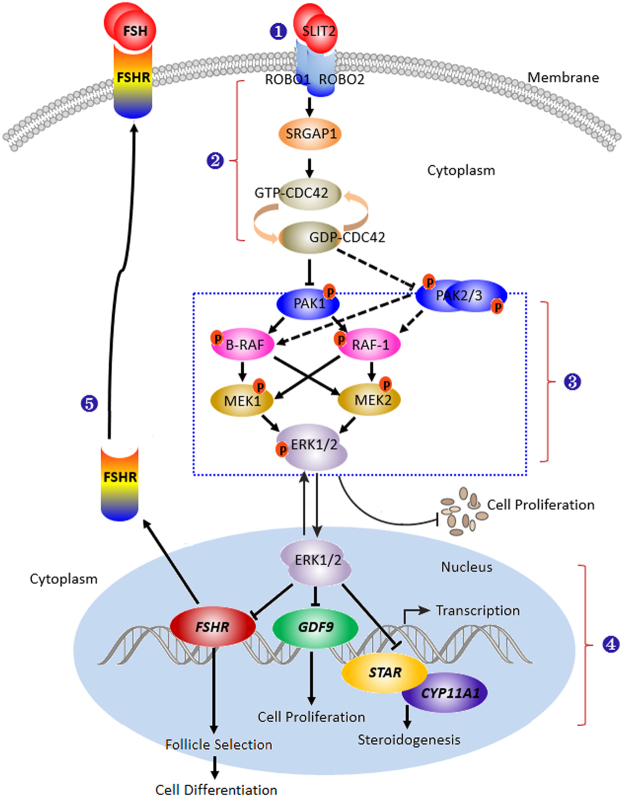 Figure 12