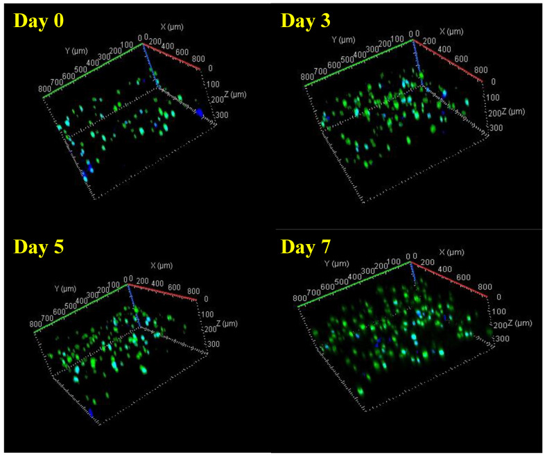 Figure 6