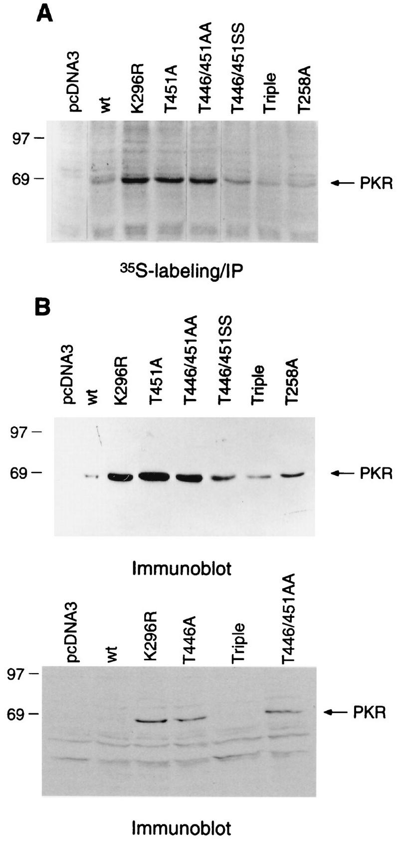 FIG. 8