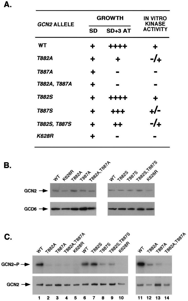 FIG. 10