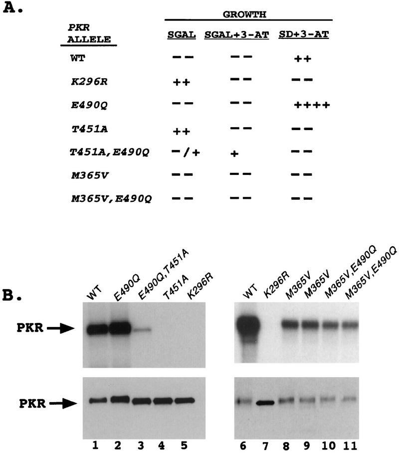 FIG. 7