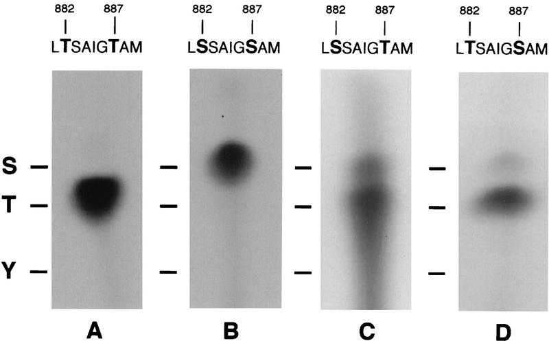 FIG. 11