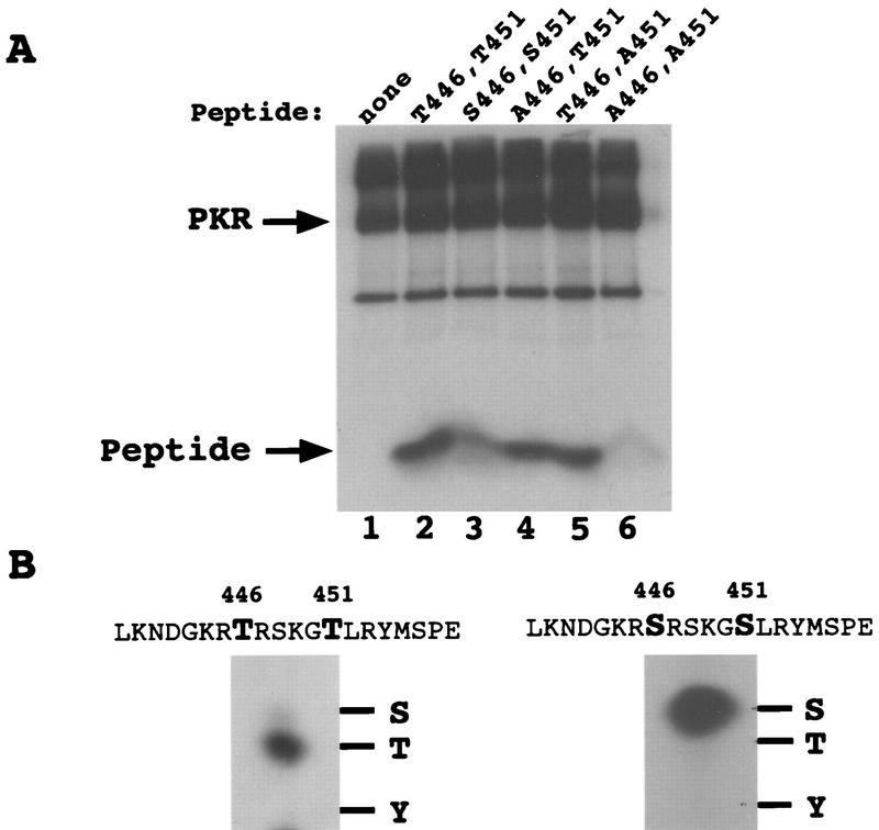 FIG. 9