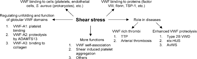 Fig. 2.