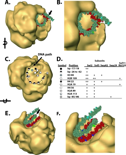 FIG. 8.