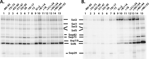 FIG. 4.