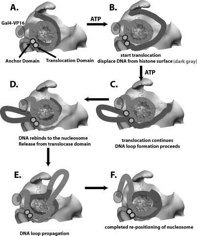 FIG. 9.