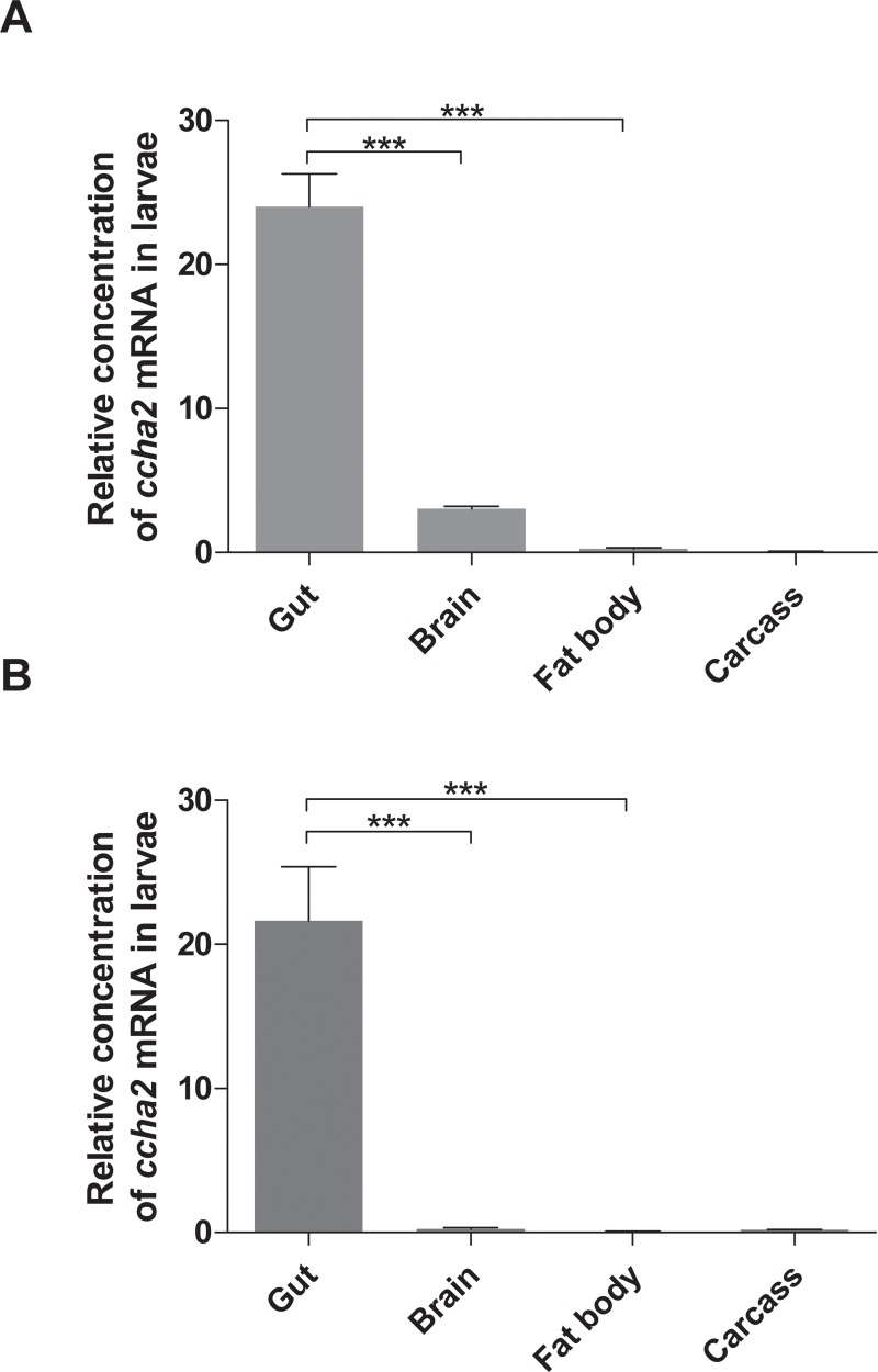 Fig 8