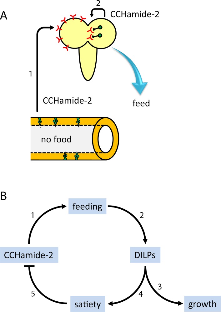 Fig 9