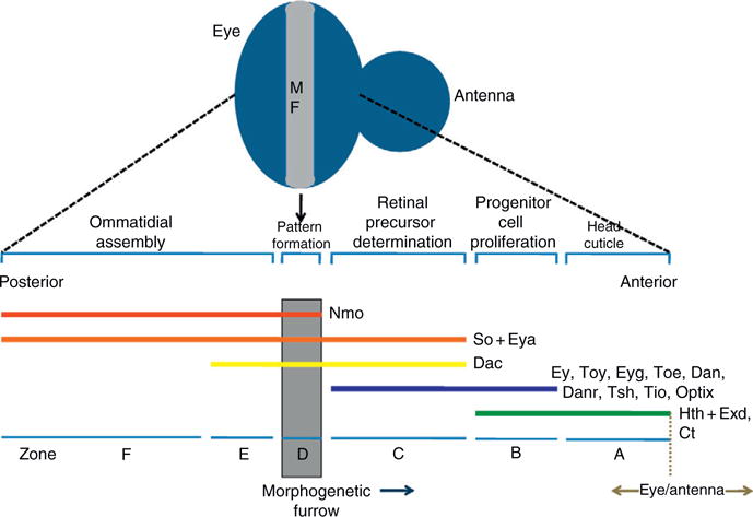 Figure 1.5