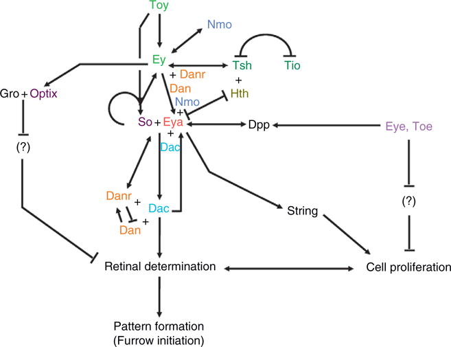 Figure 1.4