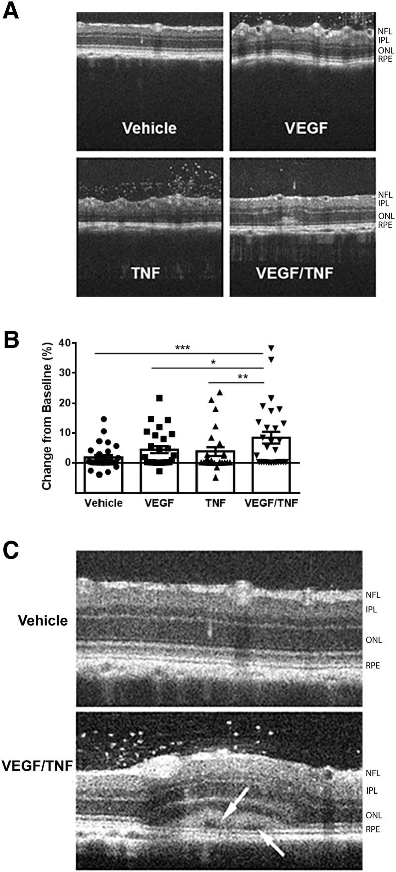 Figure 6