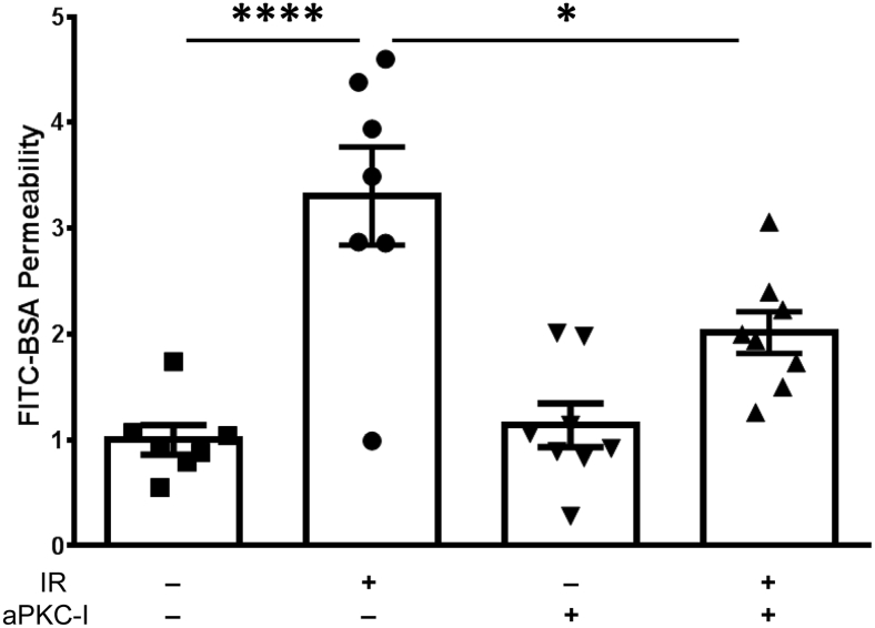 Figure 5