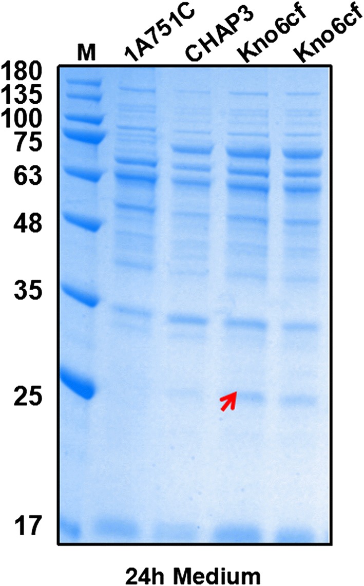 Fig. 5