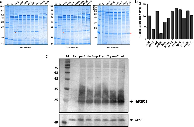 Fig. 6