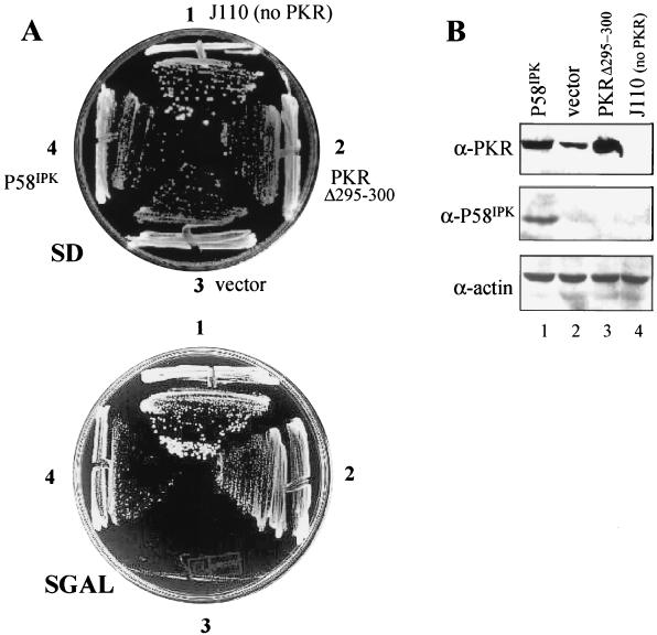 FIG. 5