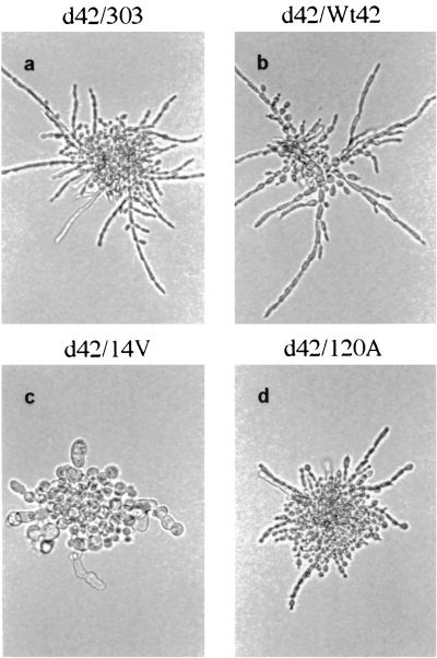 FIG. 8