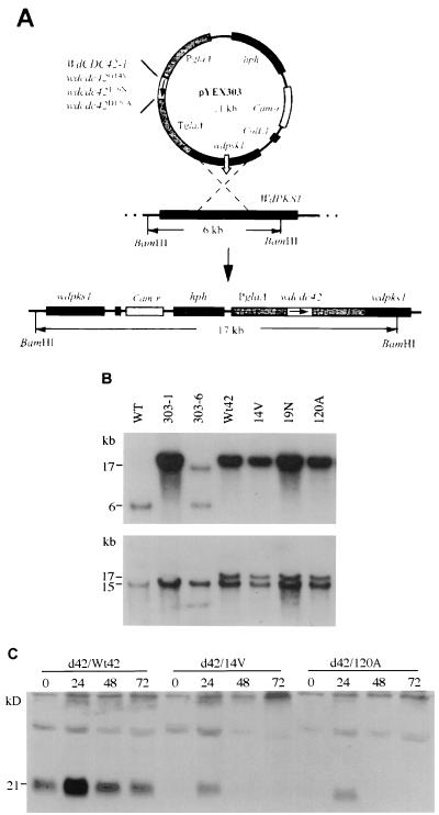 FIG. 6