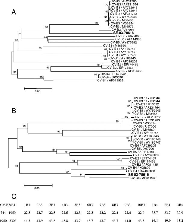 FIG. 3.