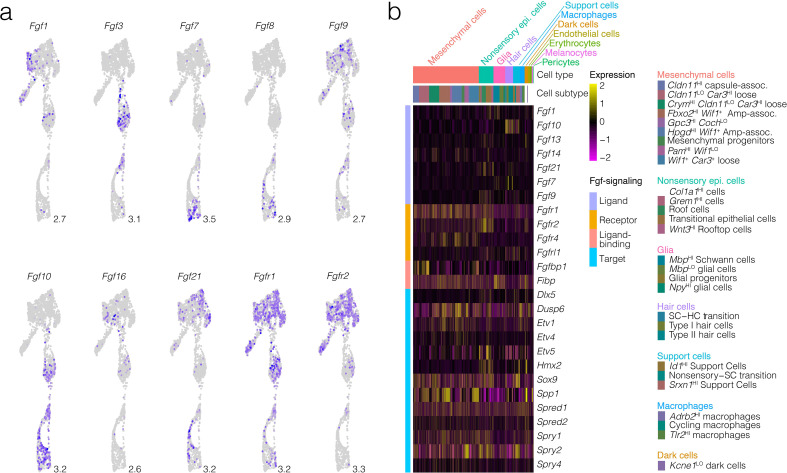 Figure 2—figure supplement 7.