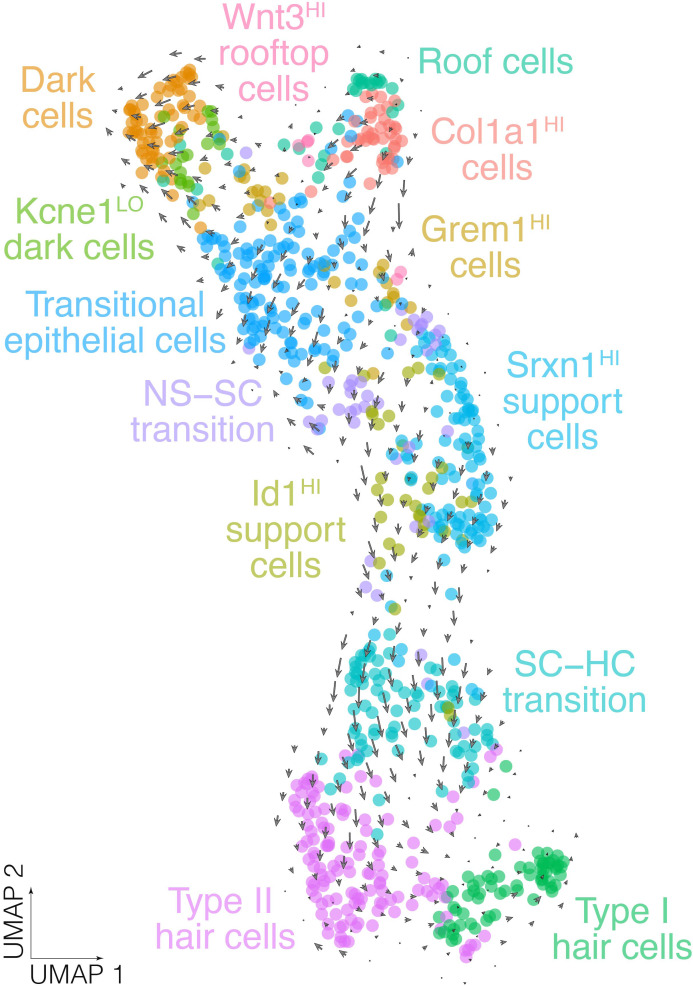 Figure 2—figure supplement 4.