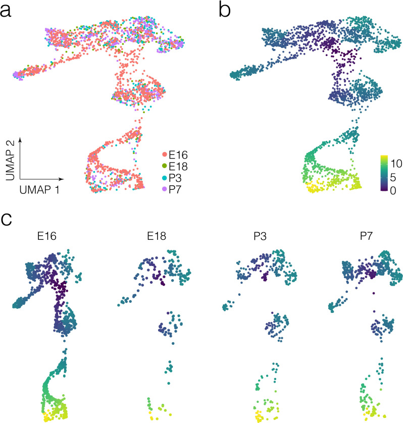 Figure 2—figure supplement 3.