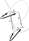 Fig. 9.