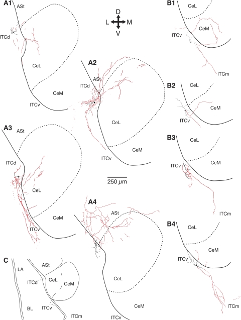 Fig. 3.