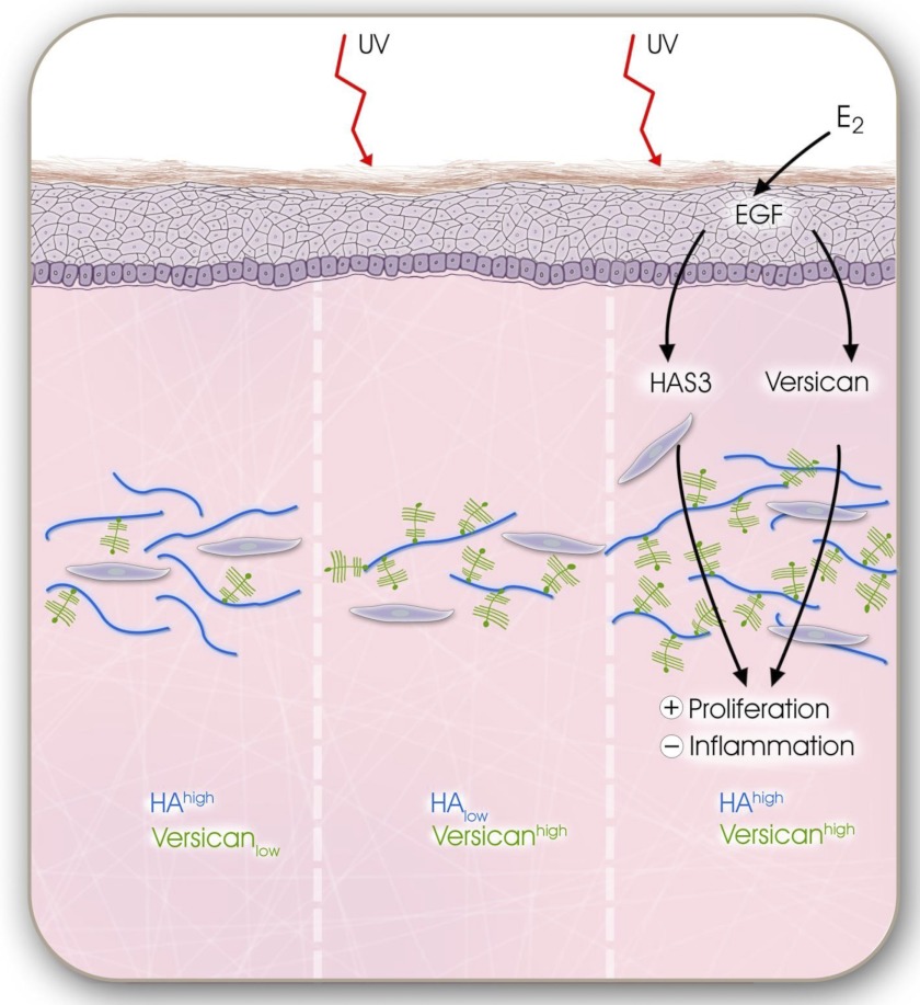 FIGURE 10.