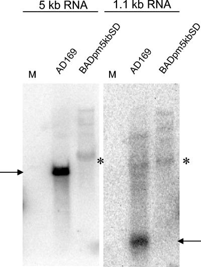 FIG. 8.