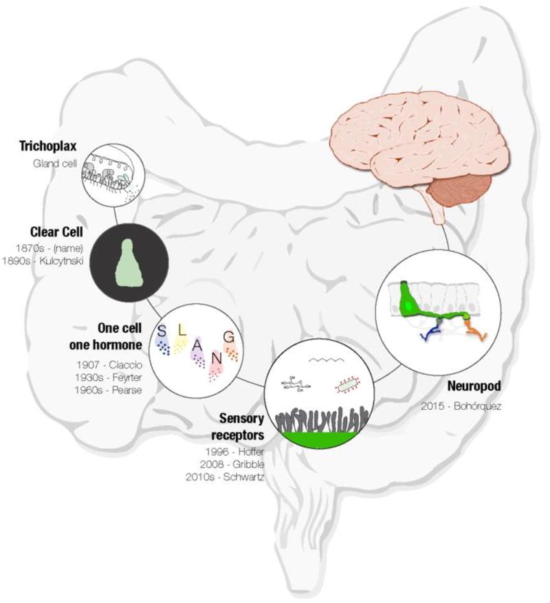 FIGURE 1