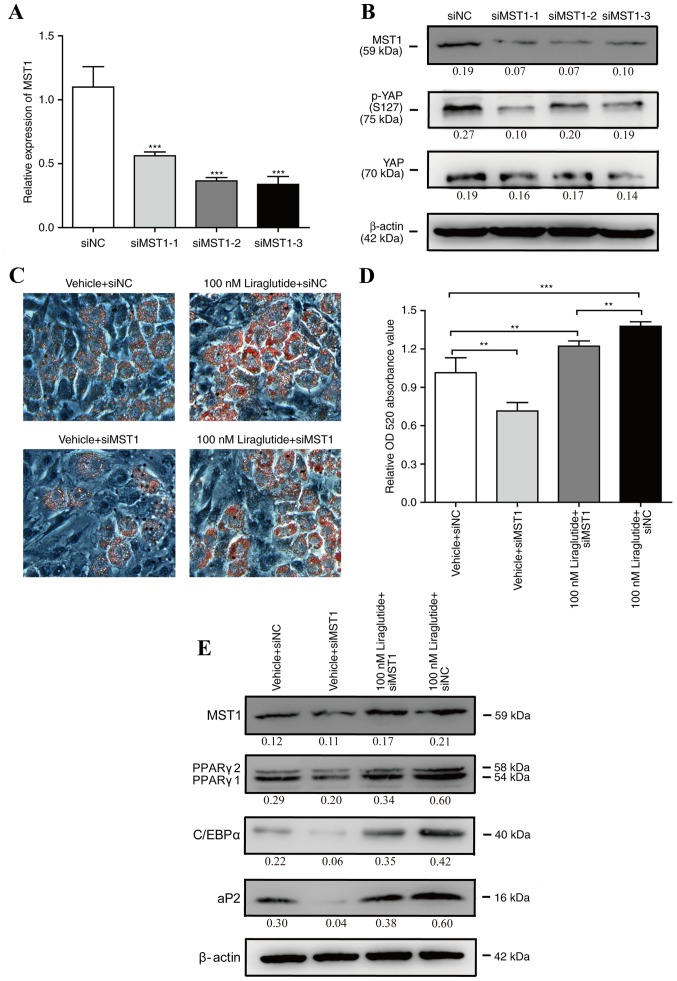 Figure 4.