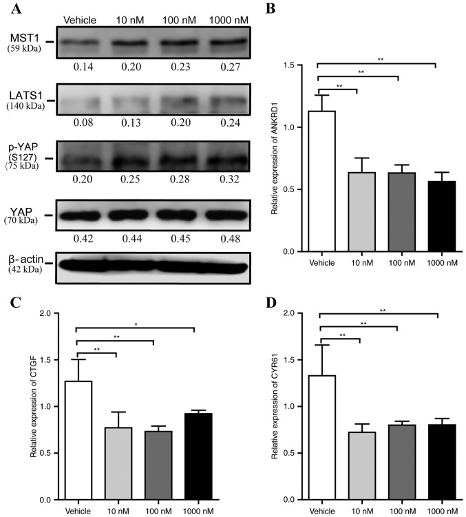 Figure 3.