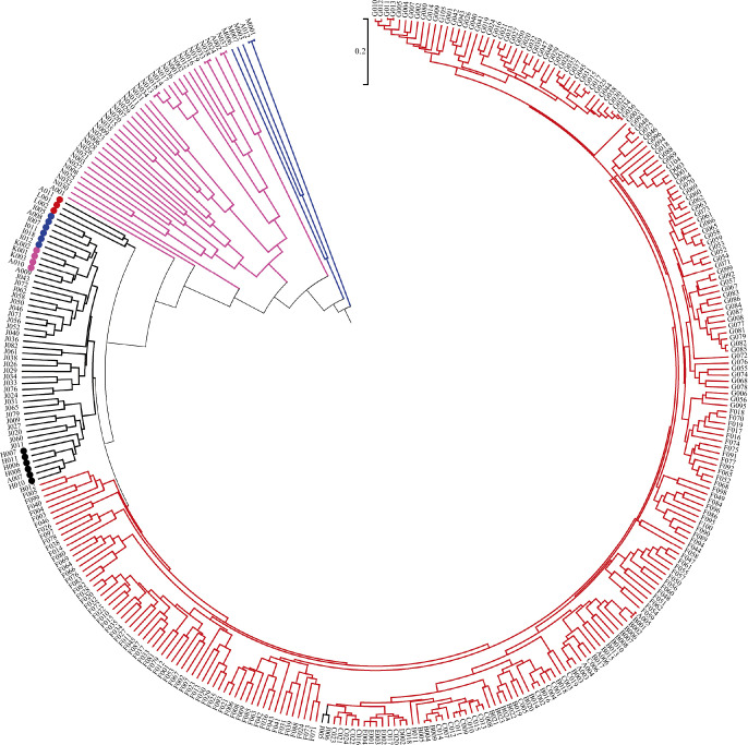 Fig. 1.