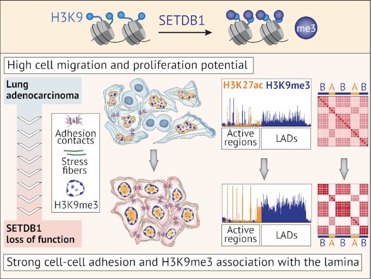 Graphical Abstract