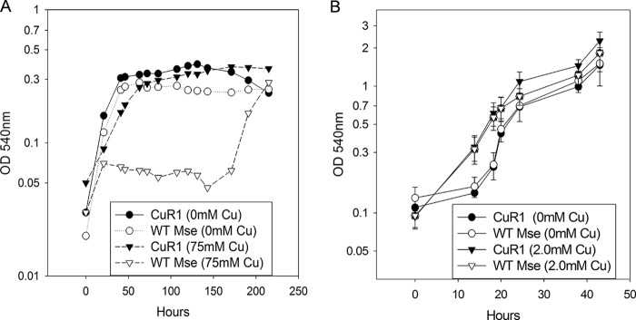 FIG 1