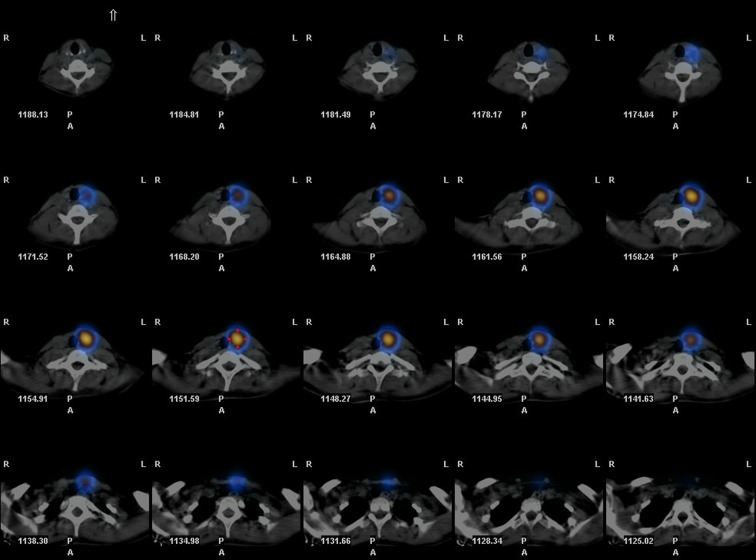 Figure 1