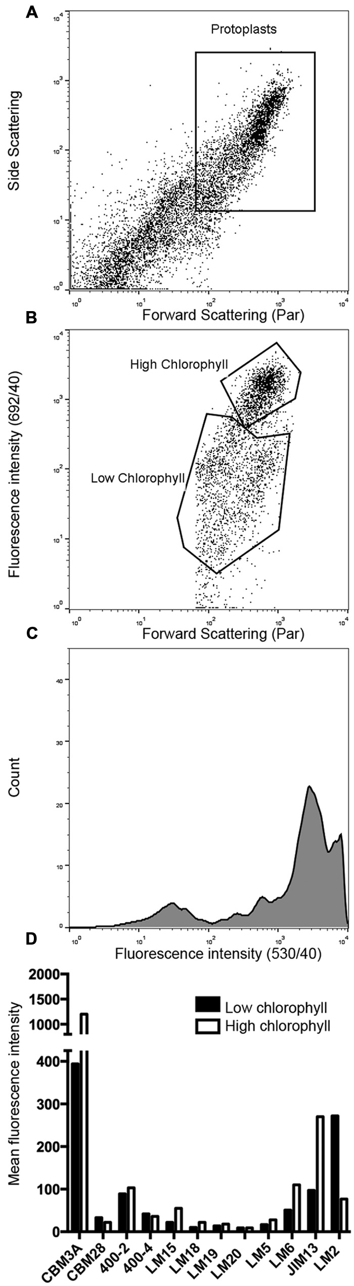 FIGURE 2