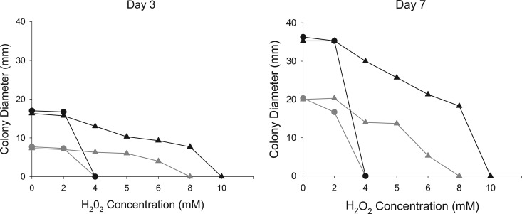 FIG 2