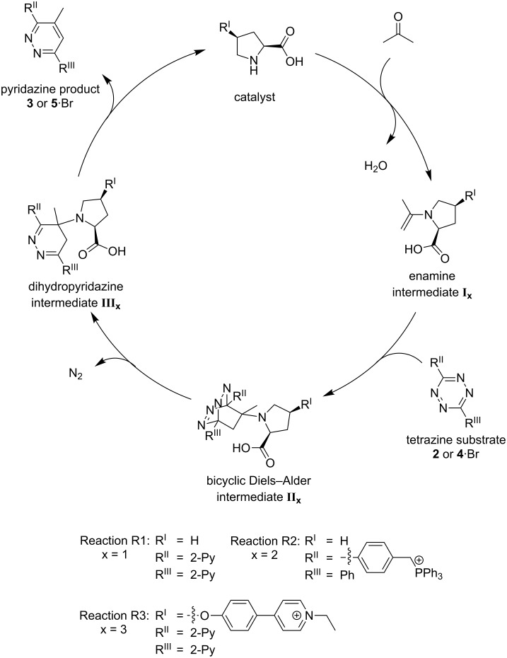 Scheme 7