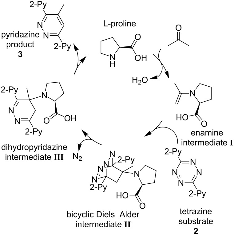 Scheme 1