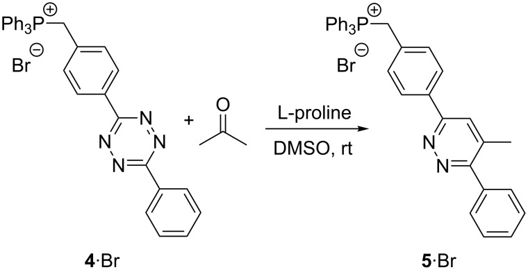 Scheme 5