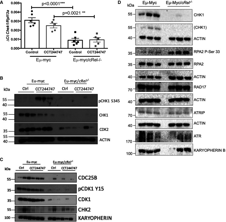 Figure 3.