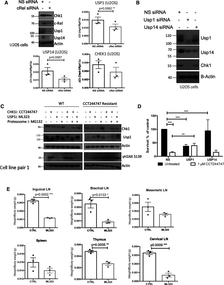 Figure 6.