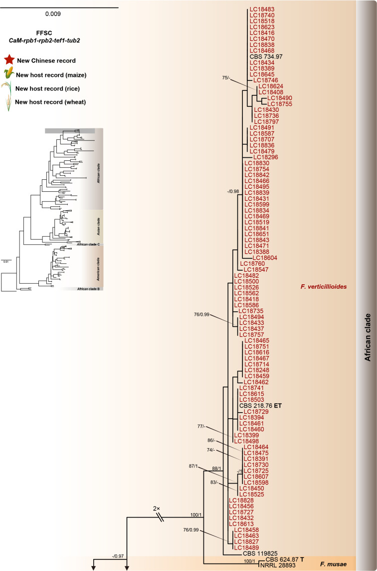 Fig. 8.